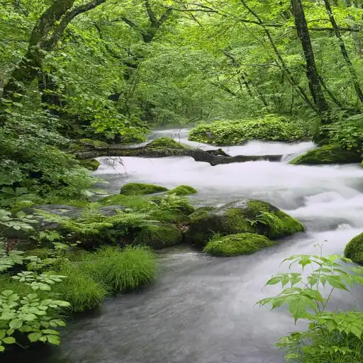 Play Nature Therapy : River Sounds APK Play Nature Therapy : River Sounds APK