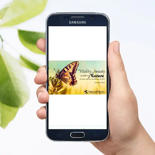 Play Nature video status  and enjoy Nature video status with UptoPlay