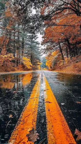 Play Nature Video Wallpaper and enjoy Nature Video Wallpaper with UptoPlay Play Nature Video Wallpaper and enjoy Nature Video Wallpaper with UptoPlay