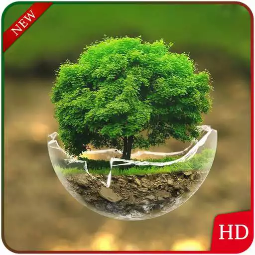 Run free android online Nature Wallpaper & Backgrounds 2019 APK