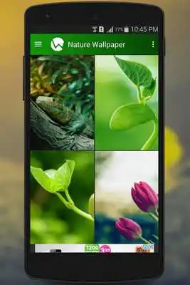 Play Nature Wallpaper (HQ)