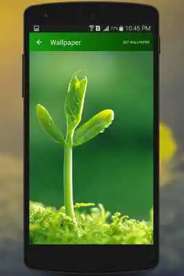 Play Nature Wallpaper (HQ)