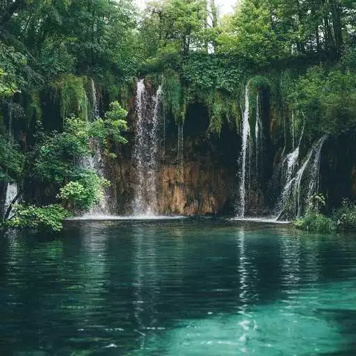 Play Nature wallpaper offline APK