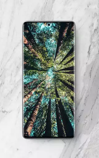 Play Nature wallpaper offline  and enjoy Nature wallpaper offline with UptoPlay