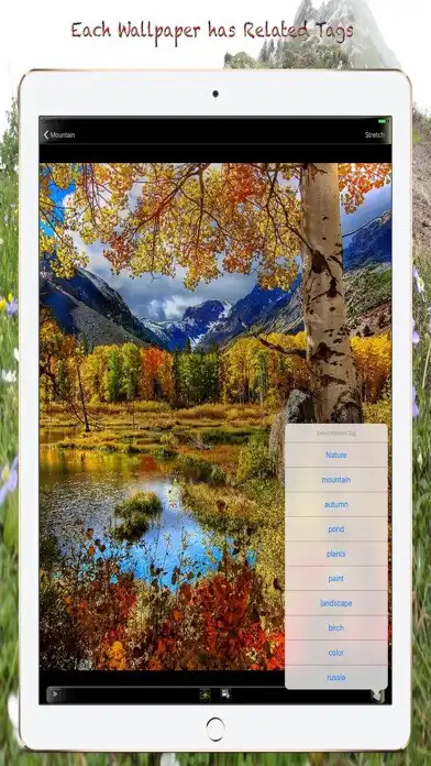Play Nature Wallpapers  Background as an online game Nature Wallpapers  Background with UptoPlay