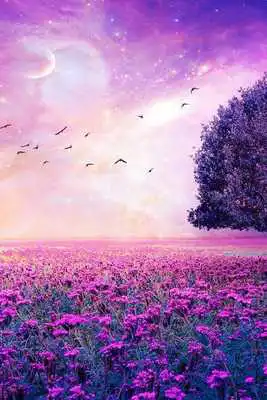 Play Nature Wallpaper