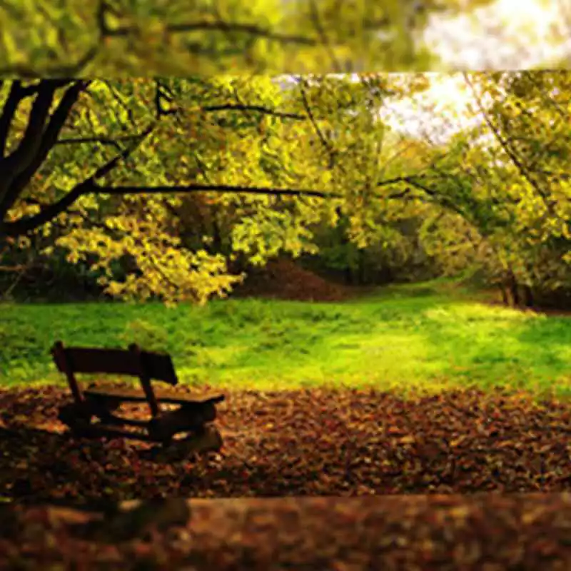 Play Nature Wallpapers For Chat