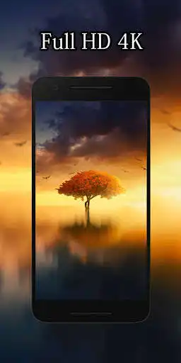 Play Nature Wallpapers HD 4K  and enjoy Nature Wallpapers HD 4K with UptoPlay