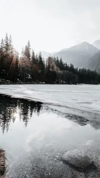 Play Nature Wallpapers - HQ as an online game Nature Wallpapers - HQ with UptoPlay