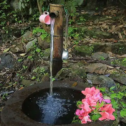 Play Nature Watertap Live Wallpaper APK