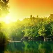 Free play online Nature World Pictures APK