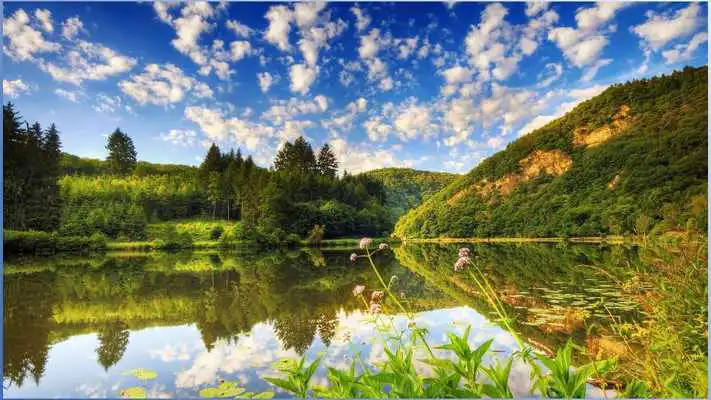 Play Nature World Pictures