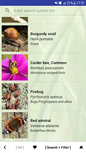 Play NatureWorld as an online game NatureWorld with UptoPlay