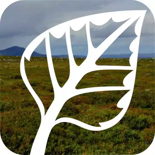 Play Natur i endring APK