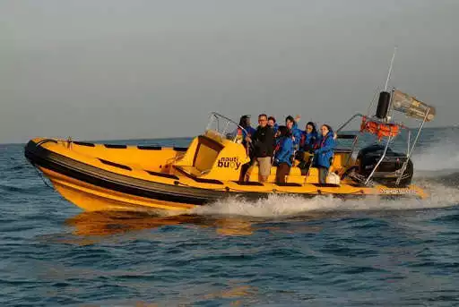 Play Nauti Buoy Ribs  and enjoy Nauti Buoy Ribs with UptoPlay