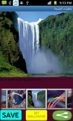 Play Nautrall Wallpaper Play Nautrall Wallpaper
