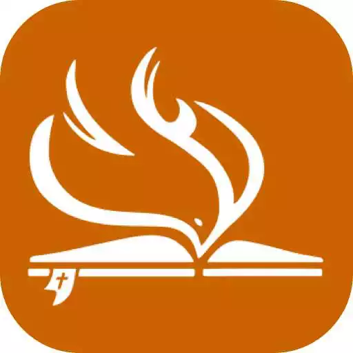 Play Nazareno Roraima APK Play Nazareno Roraima APK