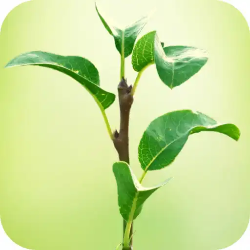 Play NBCC - Bay Area Church - CA APK Play NBCC - Bay Area Church - CA APK