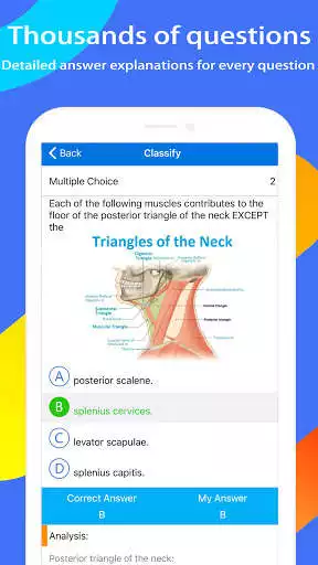 Play NBDE I Expert:Dental Board as an online game online NBDE I Expert:Dental Board with UptoPlay Play NBDE I Expert:Dental Board as an online game NBDE I Expert:Dental Board with UptoPlay