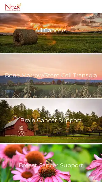 Play NCAN: Nebraska Cancer Network as an online game online NCAN: Nebraska Cancer Network with UptoPlay Play NCAN: Nebraska Cancer Network as an online game NCAN: Nebraska Cancer Network with UptoPlay