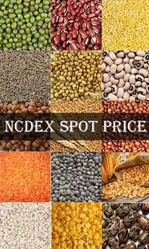 Play NCDEX spot price  and enjoy NCDEX spot price with UptoPlay