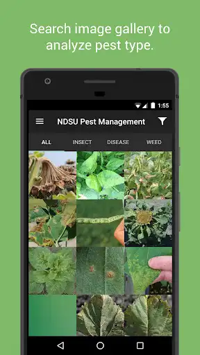 Play NDSU Pest Management as an online game online NDSU Pest Management with UptoPlay com.myriadmobile.ndsupests Play NDSU Pest Management as an online game NDSU Pest Management with UptoPlay