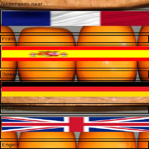 Play Nederlandse stem vertaler as an online game Nederlandse stem vertaler with UptoPlay