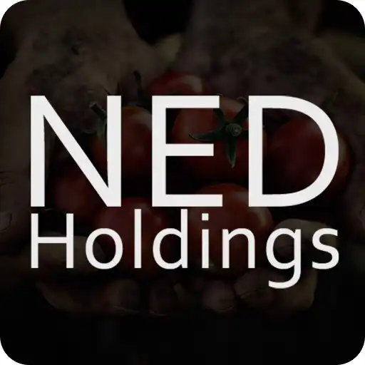 Play NED Holdings APK