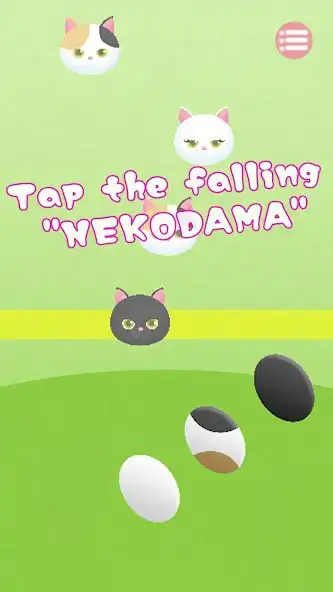 Play NekodamaTap ~Tap the cat ball~  and enjoy NekodamaTap ~Tap the cat ball~ with UptoPlay