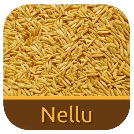 Play Nellu APK