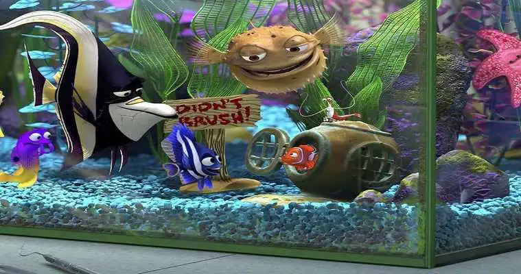 Play Nemo HD Wallpaper