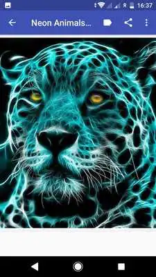 Play Neon Animals Wallpapers