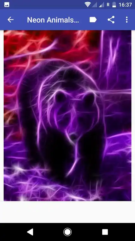 Play Neon Animals Wallpapers
