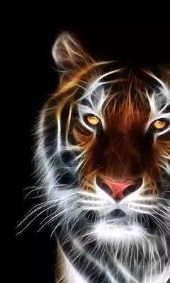 Play Neon Animals Wallpaper Theme