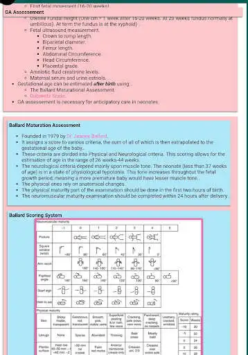 Play Neonatology Points as an online game Neonatology Points with UptoPlay