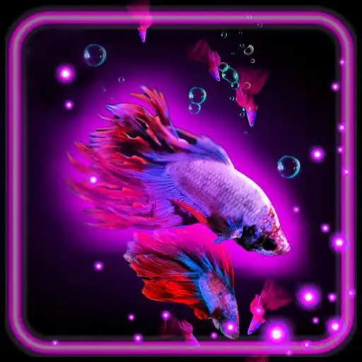 Play Neon Fishes HD APK