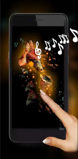 Play Neon Fishes HD  and enjoy Neon Fishes HD with UptoPlay
