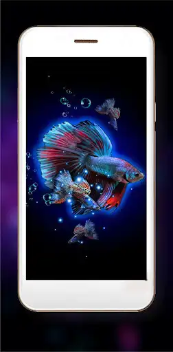 Play Neon Fishes HD as an online game Neon Fishes HD with UptoPlay