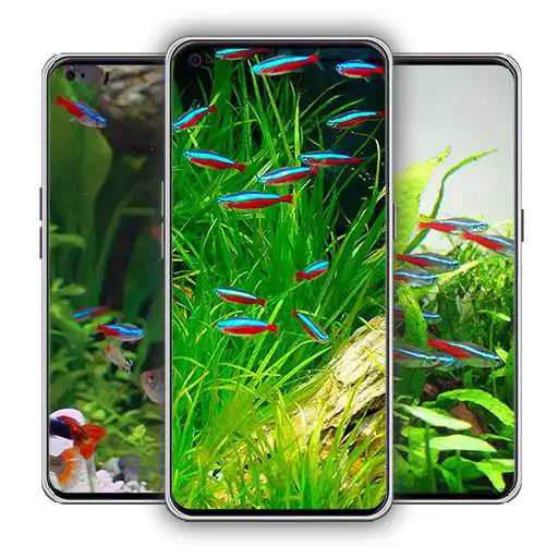 Play Neon Fish Wallpaper APK Play Neon Fish Wallpaper APK