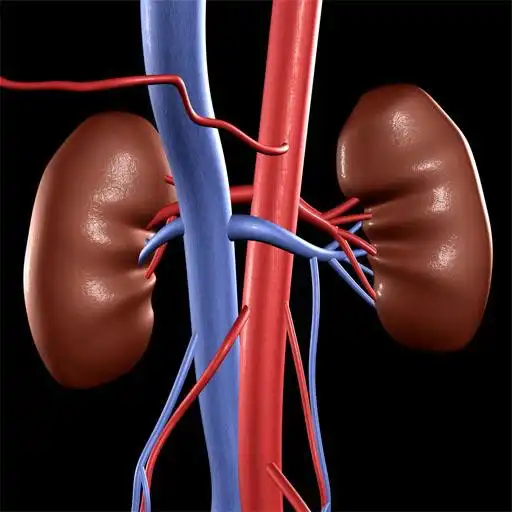 Run free android online Nephrology Assisstant Free APK Run free android online Nephrology Assisstant Free APK