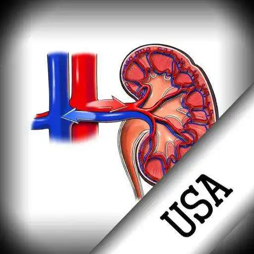 Free play online Nephrology in short questions  APK