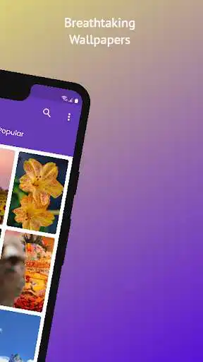 Play NepWall - Nepali HD Wallpapers as an online game online NepWall - Nepali HD Wallpapers with UptoPlay Play NepWall - Nepali HD Wallpapers as an online game NepWall - Nepali HD Wallpapers with UptoPlay