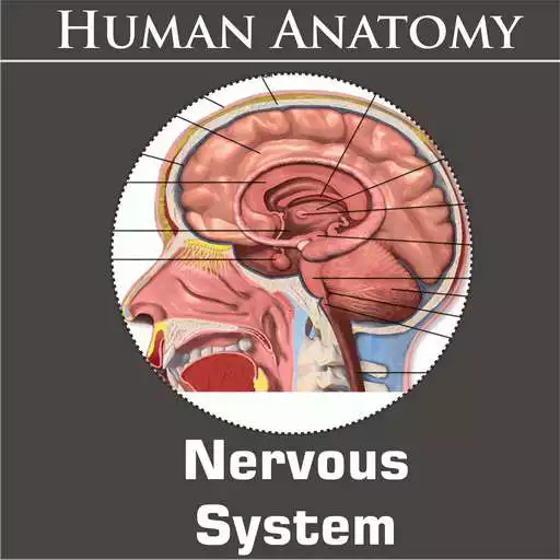 Run free android online Nervous System APK Run free android online Nervous System APK