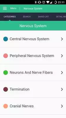 Play Nervous System Reference Guide