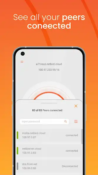 Play NetBird P2P VPN  and enjoy NetBird P2P VPN with UptoPlay