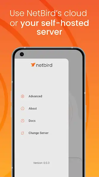 Play NetBird P2P VPN as an online game NetBird P2P VPN with UptoPlay