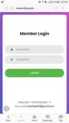 Play NetBridgeVPN Agent