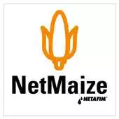Free play online Netmaize APK