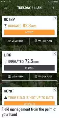 Play Netmaize