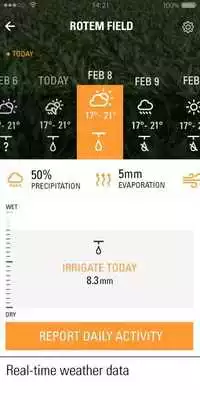 Play Netmaize